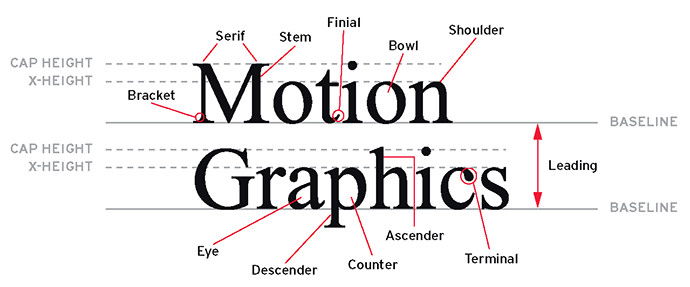 typography-terms