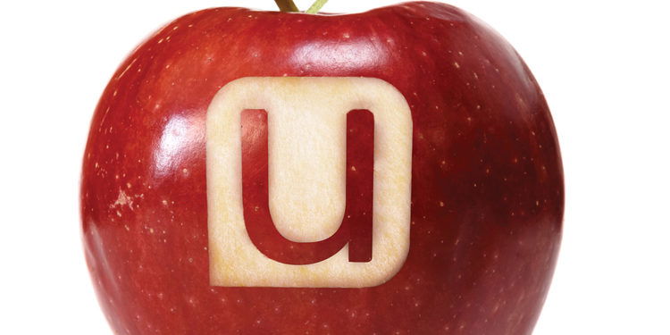 udemy-apple-750px